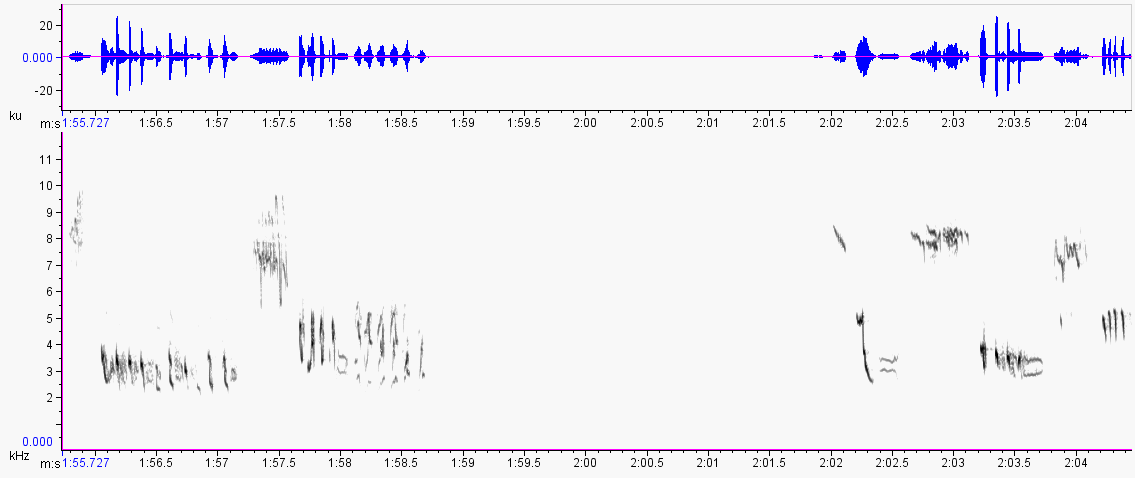spectro8m (21K)