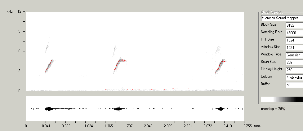 Phylloscopus collybita